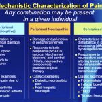 Understanding Pain 4